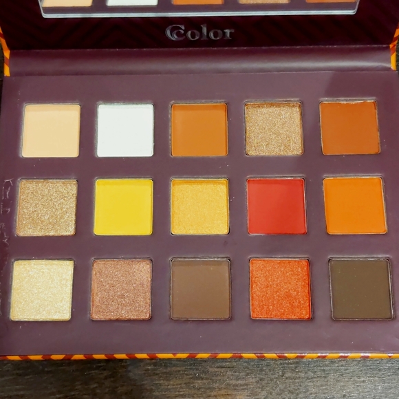 Ccolor Cosmetics Other - Ccolor Cosmetics eyeshadow palette